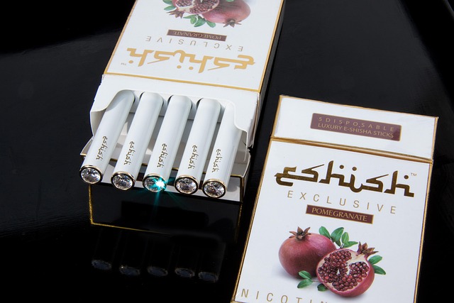 vape starter kit
